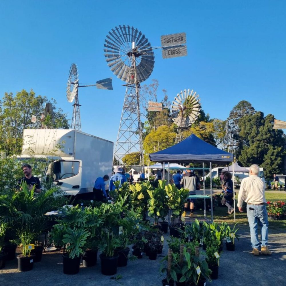 Big Box Inquiry - Horticultural growers are doing our bit to tackle
