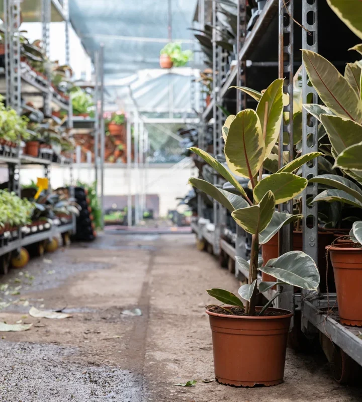 Garden Store